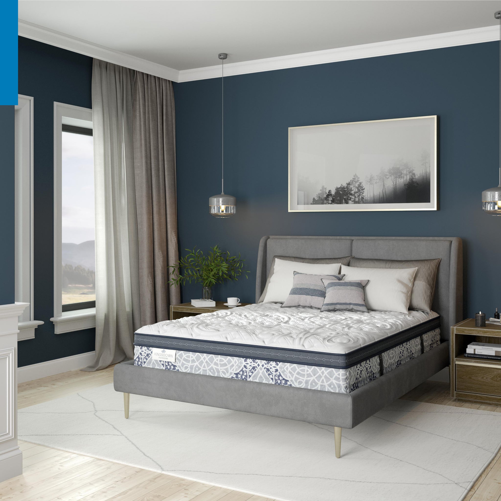 Passions Engleson Cushion Firm Hybrid Euro Pillowtop Mattress