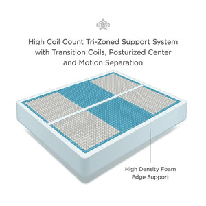 Passions Covewood 14" Cushion Firm Tight Top Hybrid Mattress
